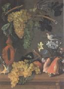 Juan de  Espinosa Still Life with Grapes (san 05) oil